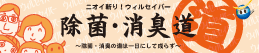 �C���t���G���U�̋���